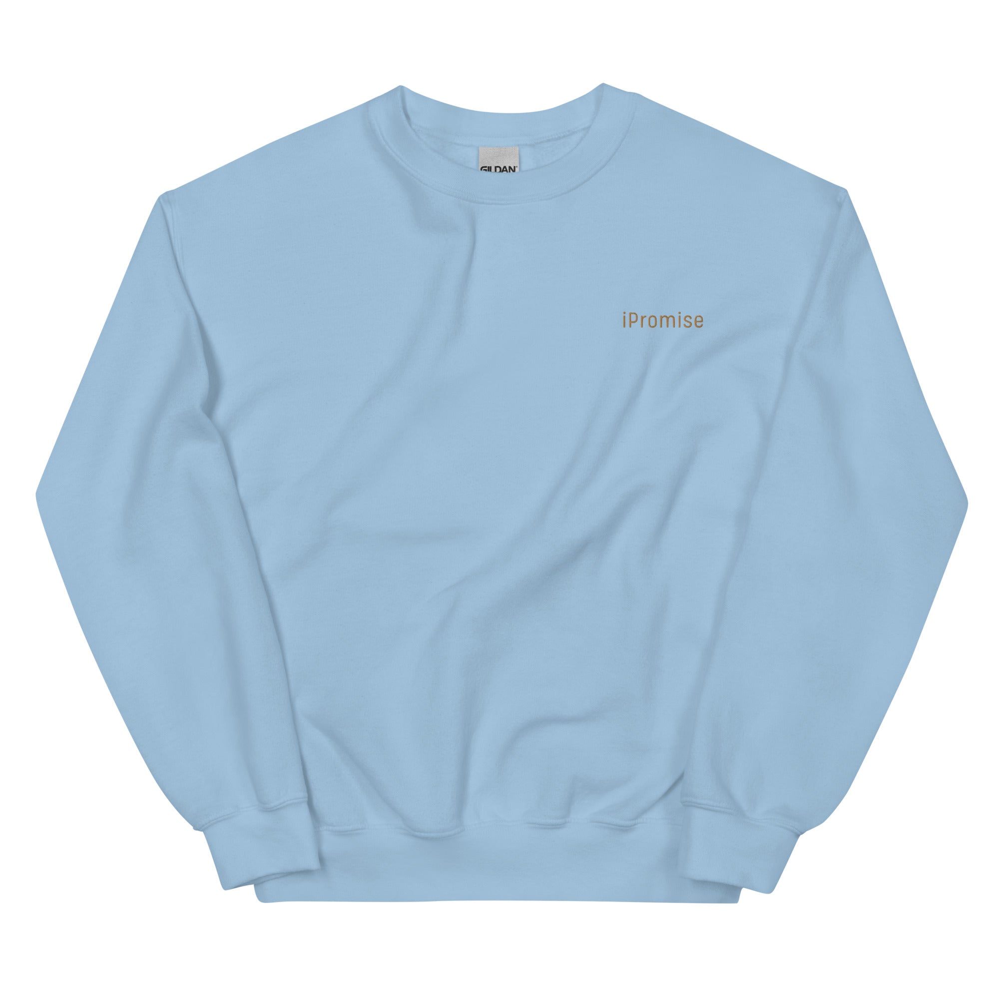 iPromise: I Only Fly First Class | Becks Sweatshirt