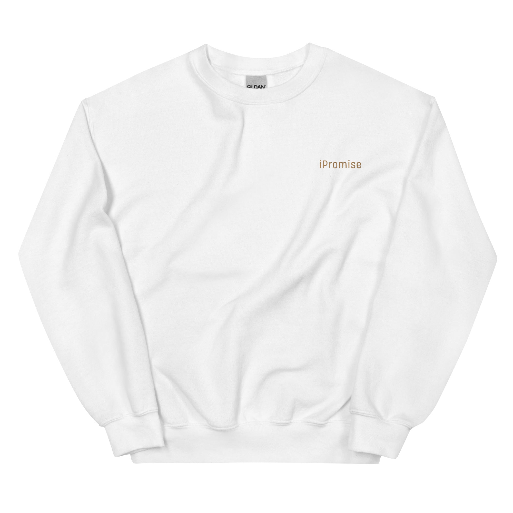 iPromise: I Only Fly First Class | Becks Sweatshirt