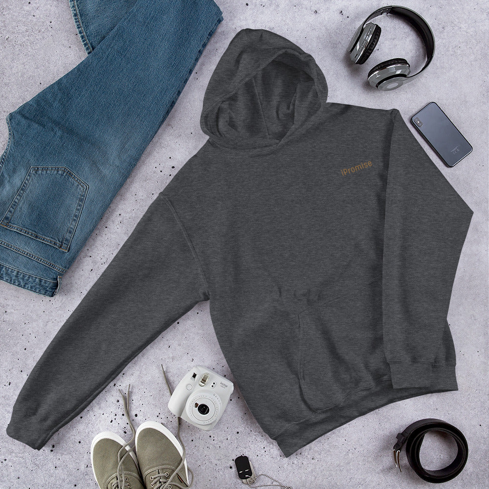 iPromise: I Only Fly First Class | Zoe Hoodie