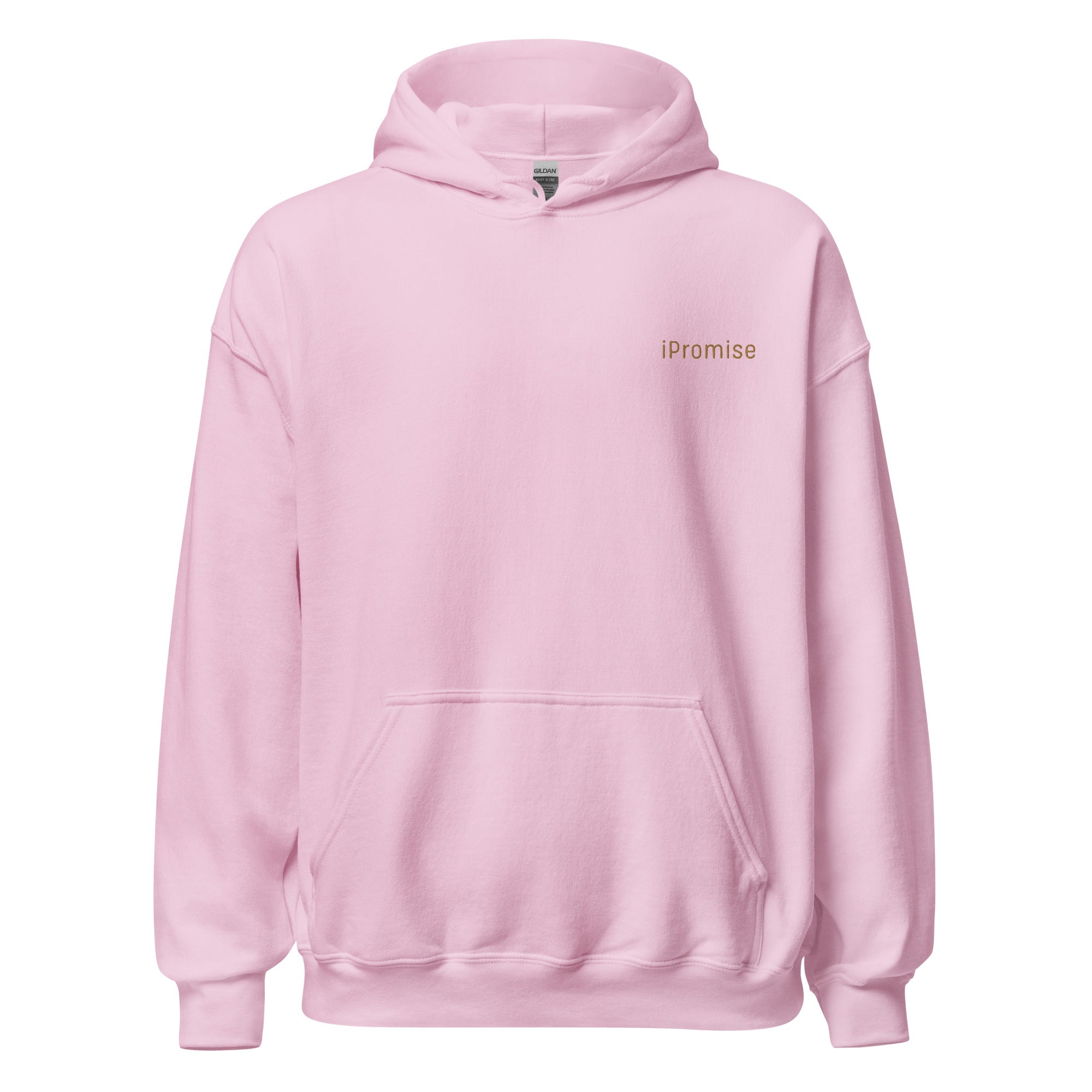 iPromise: I Only Fly First Class | Zoe Hoodie