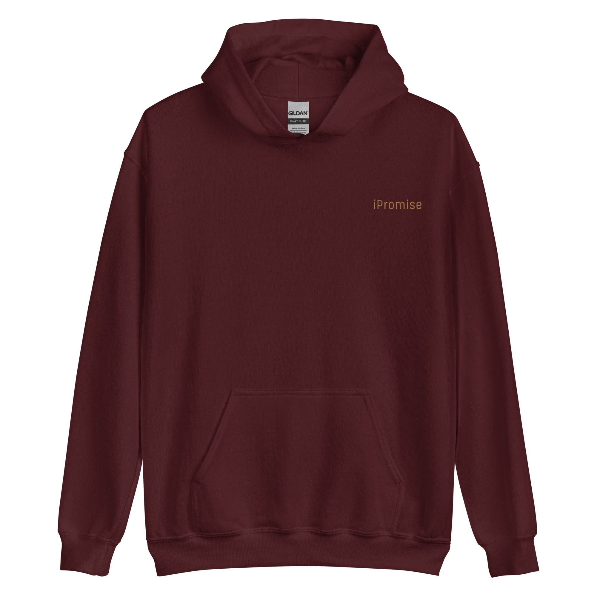 iPromise: I Only Fly First Class | Zoe Hoodie