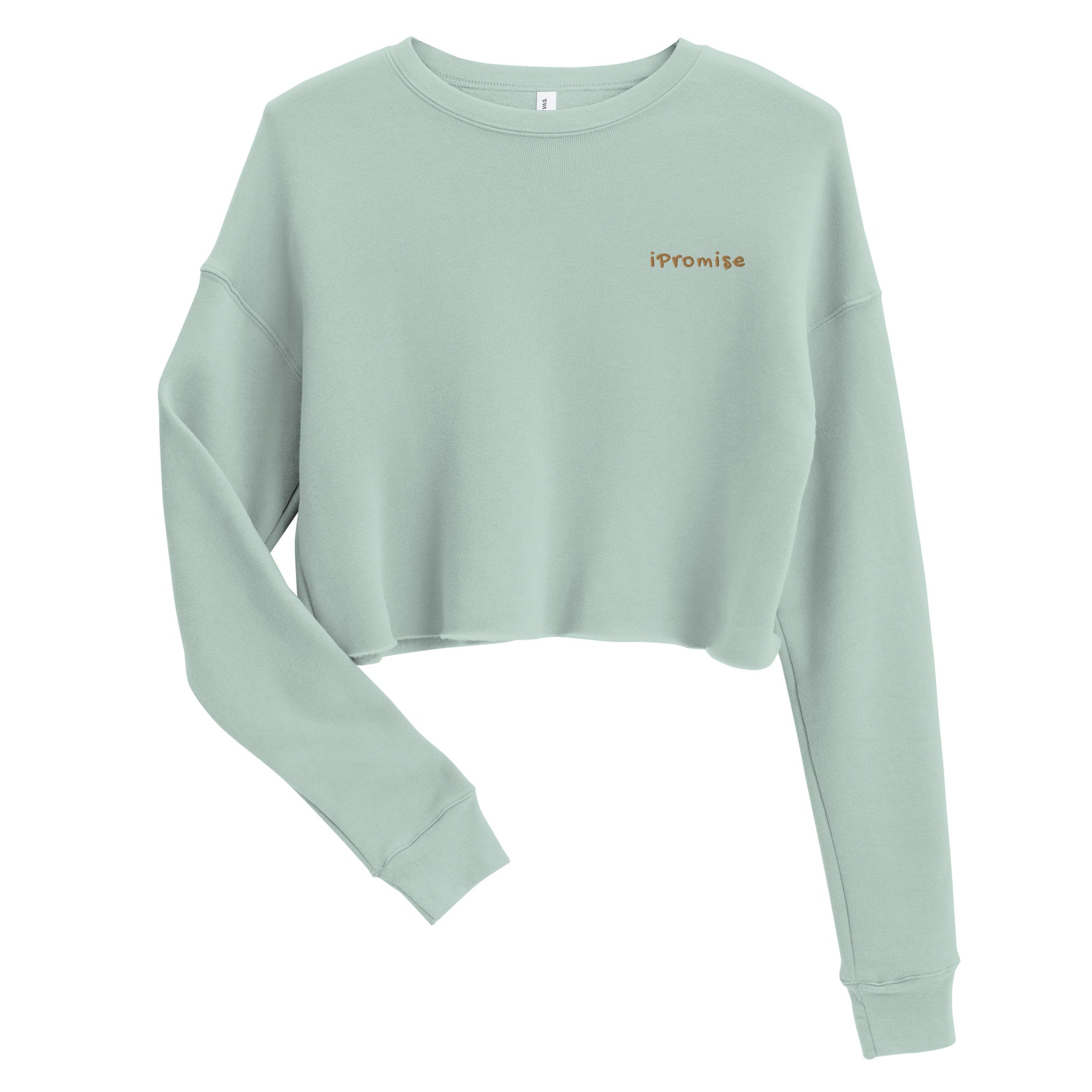 iPromise: I Only Fly First Class | Becks Crop Sweatshirt