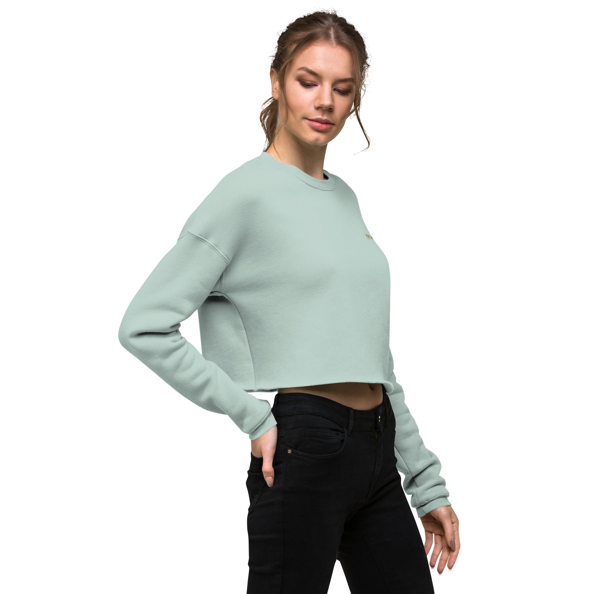 iPromise: I Only Fly First Class | Becks Crop Sweatshirt