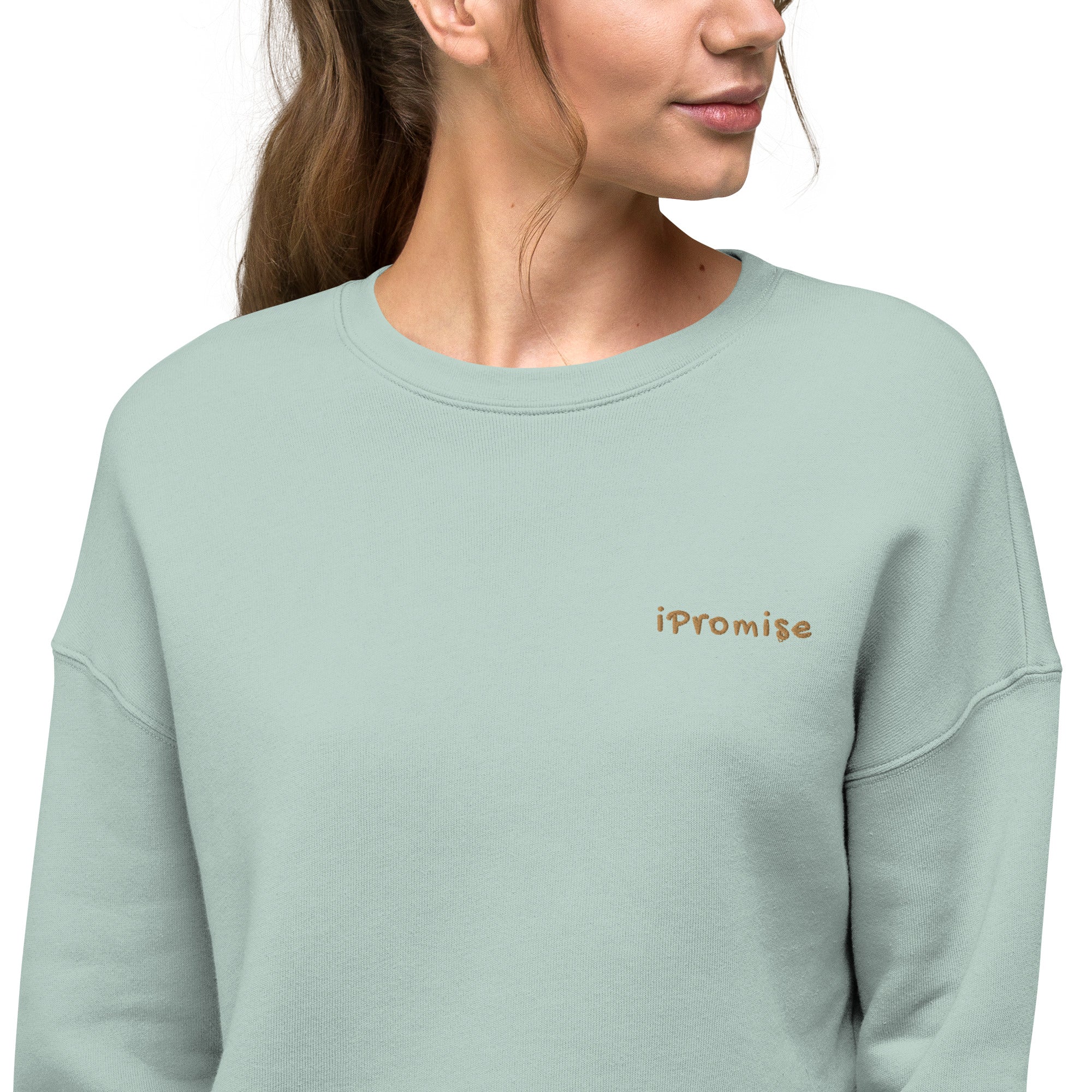 iPromise: I Only Fly First Class | Becks Crop Sweatshirt