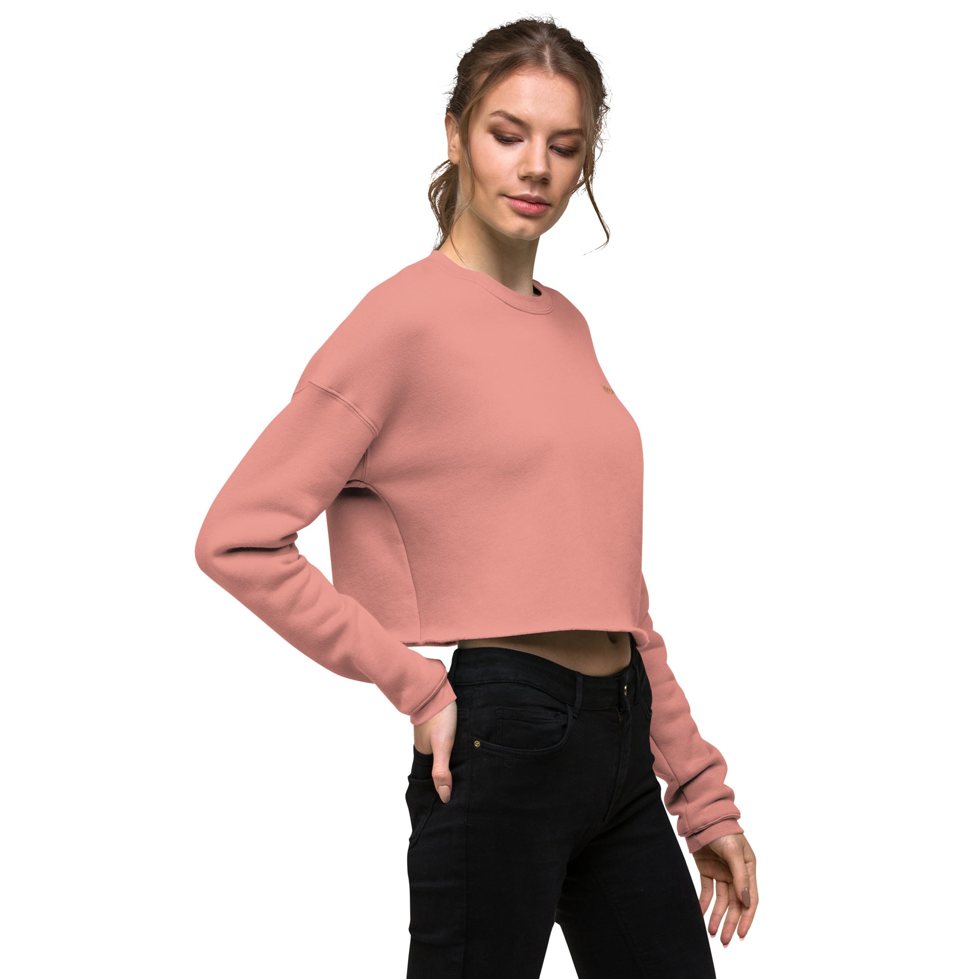 iPromise: I Only Fly First Class | Becks Crop Sweatshirt